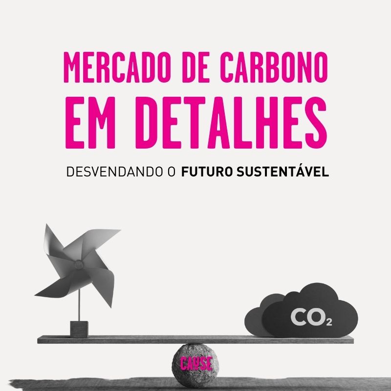 Mercado de carbono em detalhes