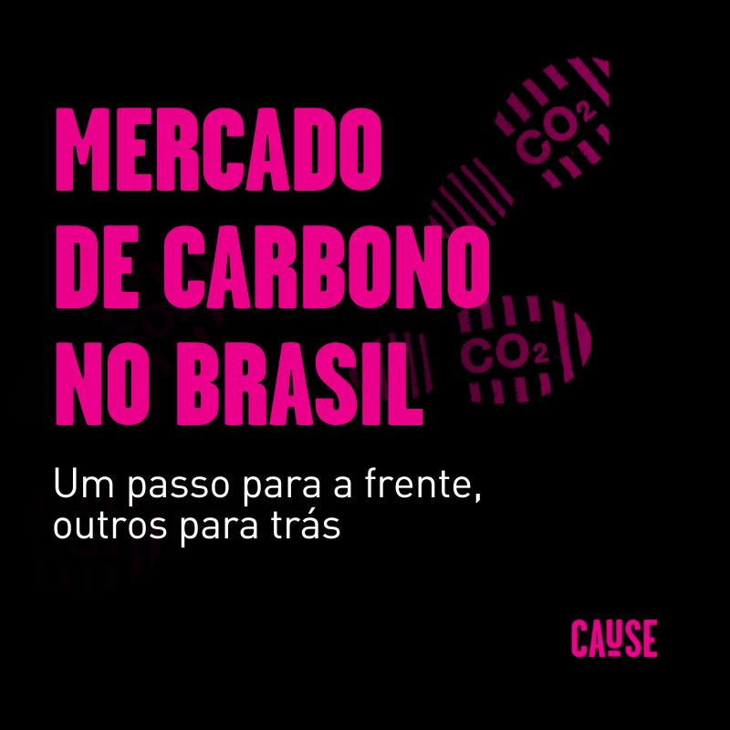 Mercado de Carbono no Brasil: um passo para a frente, outros para trás